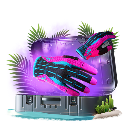 Gloves