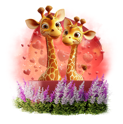Lovers giraffes
